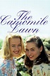 The Camomile Lawn (TV Series 1992-1992) — The Movie Database (TMDB)