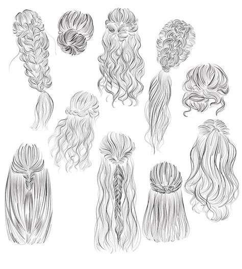 Hairstyles Vector Illustrations 2 Hair Vector Ponytail Drawing Hair