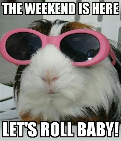 The Weekend Is Here Lets Roll Baby Pictures Photos And Images For