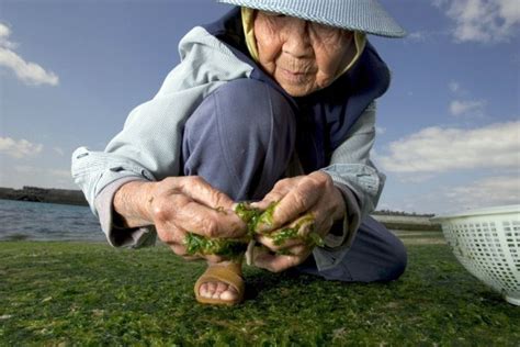 Okinawa Has Most People Over 100 Years Old