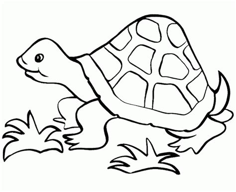 Cute Turtle Coloring Pages - Coloring Home