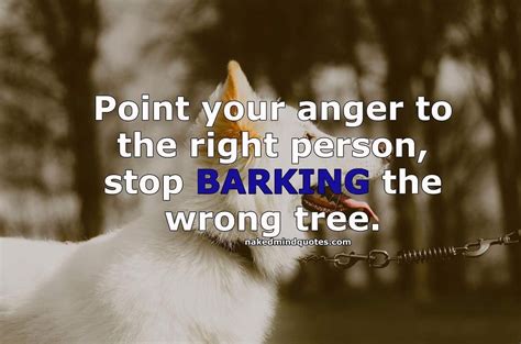 Point Your Anger To The Right Person Stop Barking The Wrong Tree
