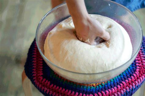 Kneading Dough 