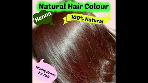After rinsing out the henna hair dye, section your hair and add the indigo paste to your hair piling it on thick to all areas of your head, wear plastic gloves on your hands and use the necessary if this is not a color that you want, then using henna first and then indigo will give you the black shade you desire. Henna for Hair in Telugu - YouTube
