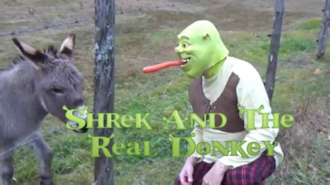 Donkey And Shrek Funny Video Youtube