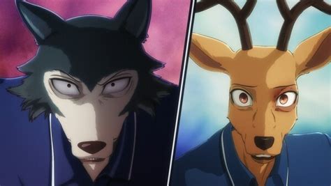 Beastars Episode 9 Info And Links Where To Watch