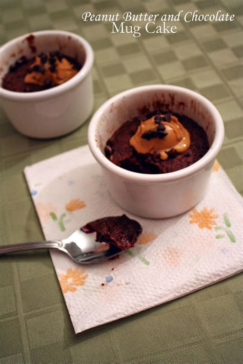 To make it even more chocolaty, i've made a simple 3 ingredient chocolate sauce to drizzle over the mug cake. Vegan peanut butter chocolate mug cake | How to ...