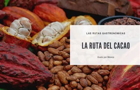 Las Rutas Gastronómicas La Ruta del Cacao Chiapas y Tabasco
