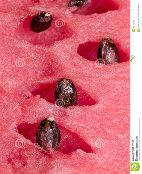 Red Melon Stock Photo Image Of Food Nutrition Background 5843758