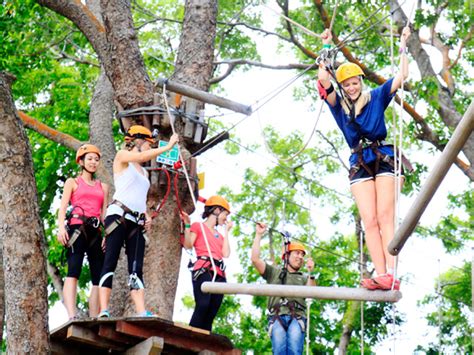 Outdoor Activities In Singapore Team Building At Forest Adventure