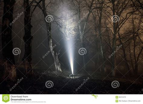 Surreal Light In Dark Forest Magic Fantasy Lightsin The Fairy Tale