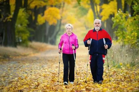 Best Nordic Walking Sticks For Seniors Respectcaregivers