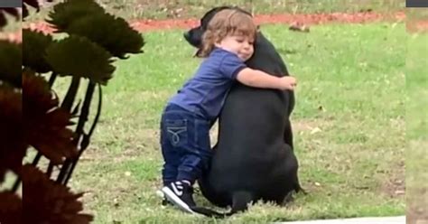 Toddler Gives Beloved Pooch A Sweet Hug Faithpot
