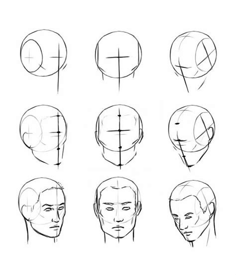 The Basic Steps To Drawing Head And Shoulders In One Point From Top To