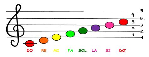 Pentagrama De Las Notas Musicales Notas Musicales Images