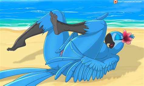 Rule 34 2018 Anthro Anthrofied Ass Avian Beak Bird Blue Feathers Blue Macaw Breasts Closed