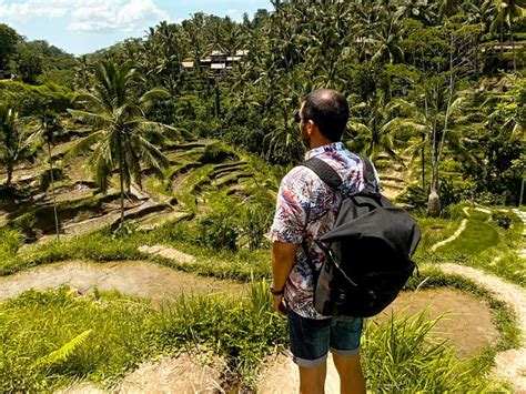 15 Cosas Que Ver Y Que Hacer En Ubud Y Alrededores Bali