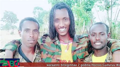 Oduu Waaree Onm Abo Bitootessa 11 2023 Qeerroo Bilisummaa Oromoo