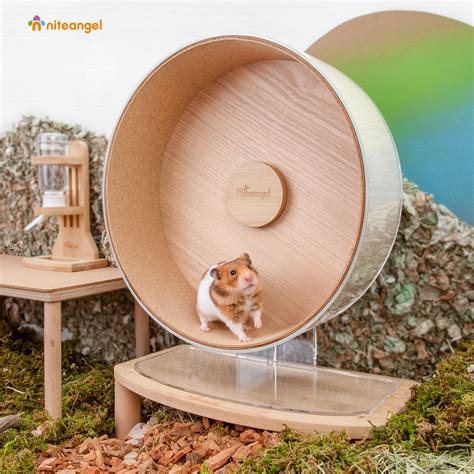 Niteangel Silent Hamster Exercise Wheel Dual Bearing Quiet Spinning A