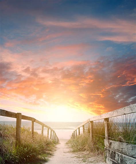 Best Beach Path Stock Photos Pictures And Royalty Free Images Istock