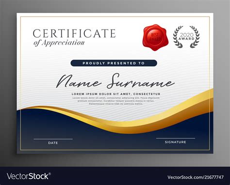 Professional Diploma Certificate Template Design Vector Image