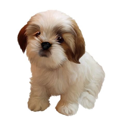 Imagen Gratuita De Cachorro Png Png All