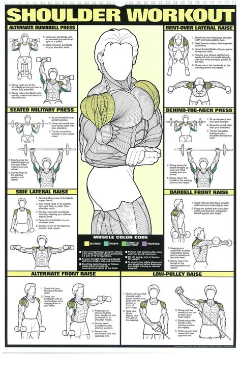 Workout Posters 6 Shoulder Workout Workout Posters Workout Plan Gym