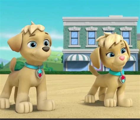 Show Accurate Paw Patrol Pups By Rainboweevee Da On Deviantart Paw