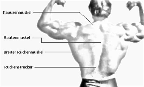 Check spelling or type a new query. Breiter Rücken durch Hanteltraining | Hanteltraining