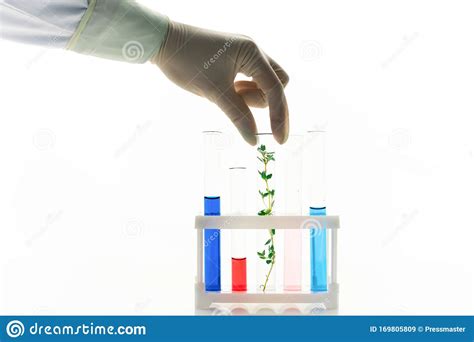 Gloved Hand Of Biologist Putting Flask With Plant Into Box With Tubes
