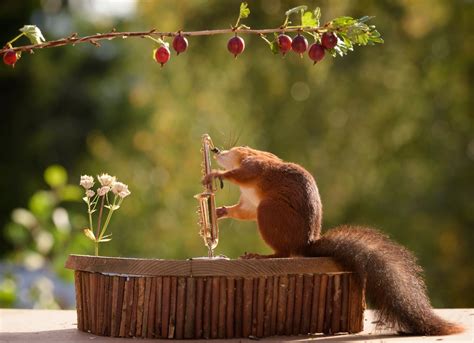 Its The Red Hot Squirrelly Peppers Photographers Hilarious Snaps Of