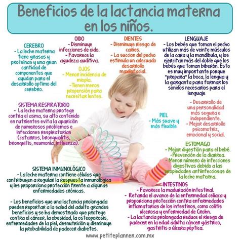 Apego, lactancia y desarrollo humano 42 7. BENEFICIOS DE LA LACTANCIA MATERNA | Lactancia materna ...