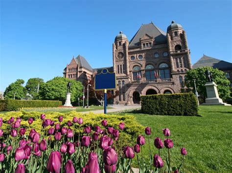 Making A Mark At Queens Park — Ducks Unlimited Canada