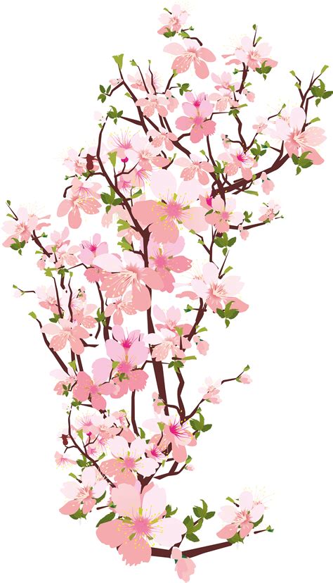 Sakura PNG png image