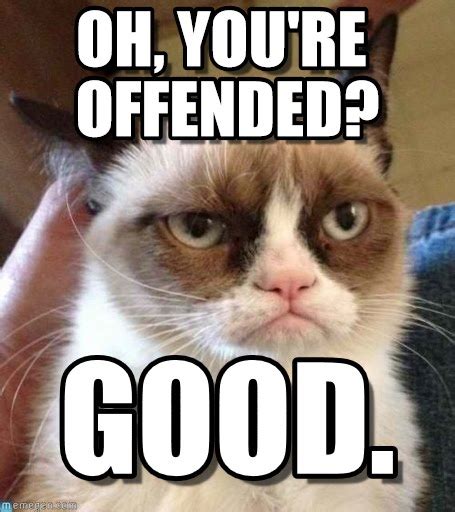 Grumpy Cat Memes Good Image Memes At