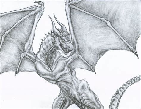 21 Realistic Dragon Drawings Free And Premium Creatives