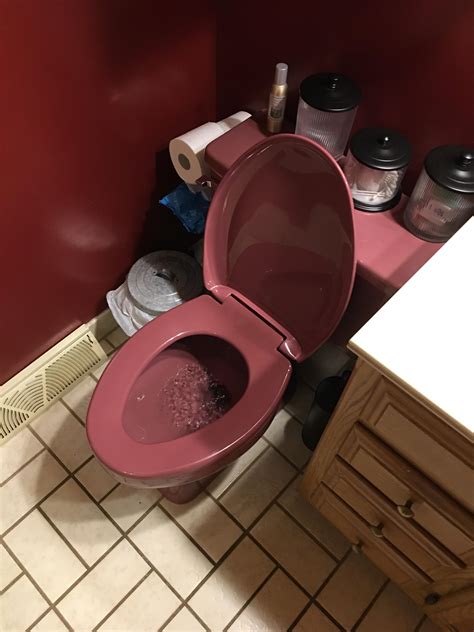 This Completely Maroon Toilet Rmildlyinteresting