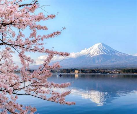 Mount Fuji Facts For Kids Konnecthq