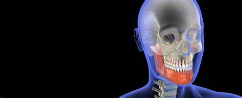 Oral And Maxillofacial Surgery Section The Royal Society Of Medicine