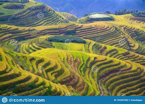 Longji Rice Terraces Stock Image Image Of Mountain 194307565