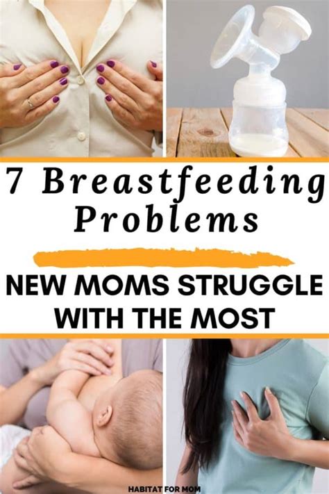 Breastfeeding Problems New Moms Struggle With The Most Habitat For Mom