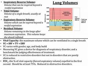 Ppt Lung Volumes Powerpoint Presentation Free Download Id 1883512