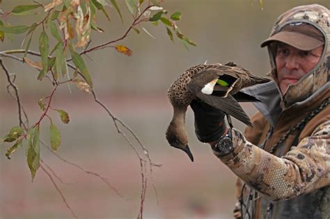 Duck Hunting Australia Ramsey Russells