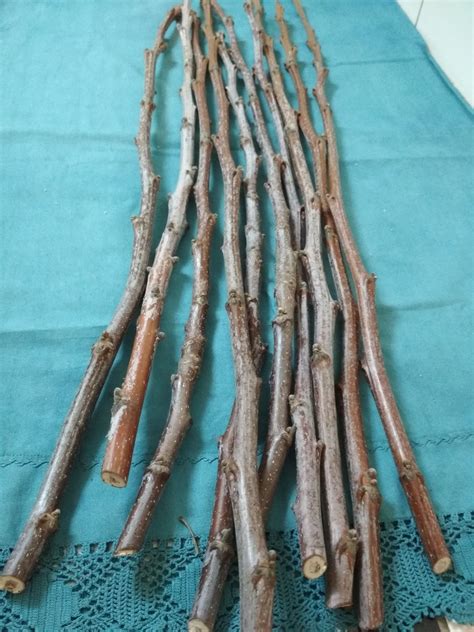 Dried Sticks Ornaments Twigs And Branch Natural Supply Etsy