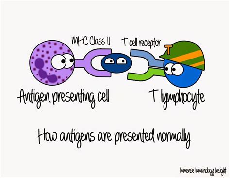 immense immunology insight medical laboratory science immunology science humor