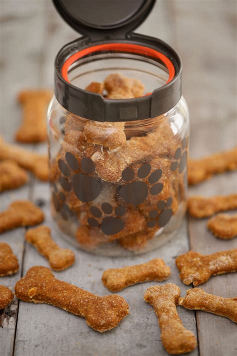 Homemade Dog Biscuits Pumpkin And Peanut Butter Gemmas Bigger Bolder