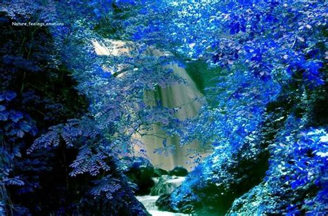 Waterfall Waterfall Beautiful Places Plant Life
