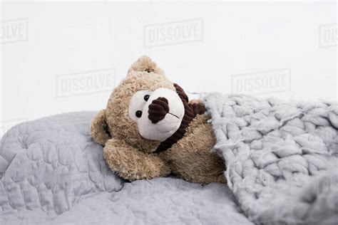Teddy Bear In Bed In Cozy Bedroom Stock Photo Dissolve