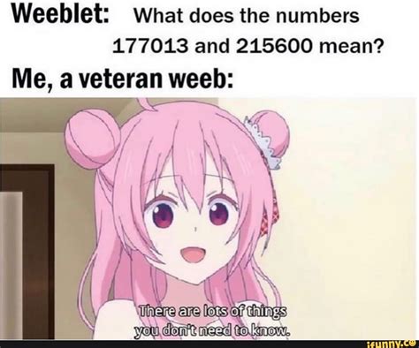 Weeblet What Does The Numbers And Mean Me A Veteran