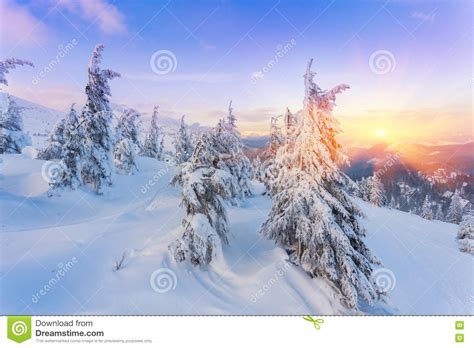 Majestic Sunset In The Winter Mountains Stock Photo Image Of Range